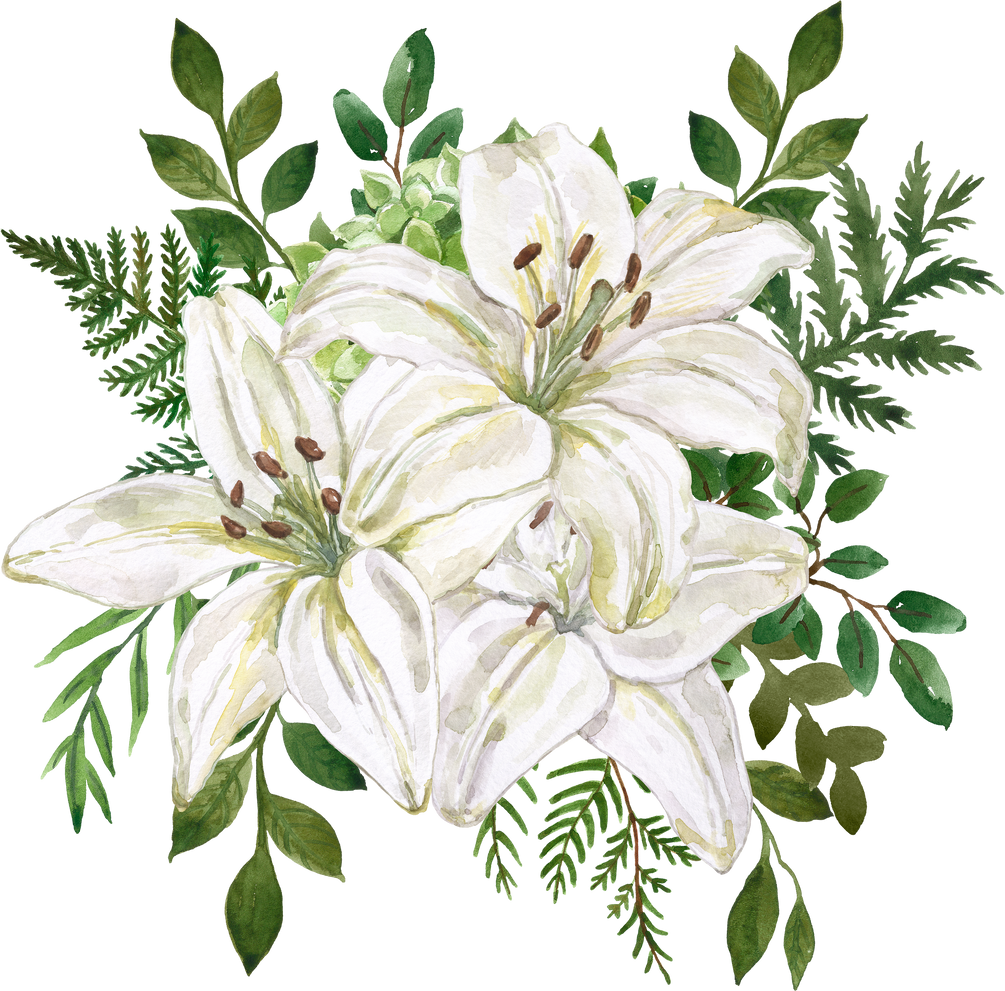 White lilies bouquet. Watercolor lily flower illustration.